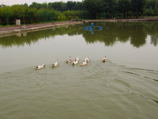 1556605312333050460.png QQ截圖20190430141438.png