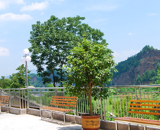 1556678915354080992.png QQ截圖20190501102237.png