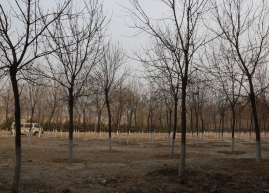 1557198694928055742.png QQ截圖20190507110710.png