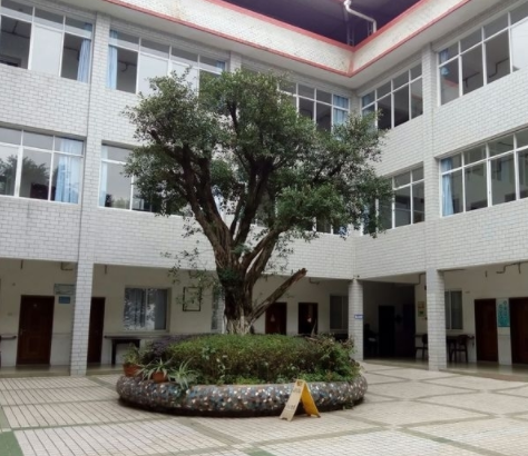 1557298563064043556.png 1.png