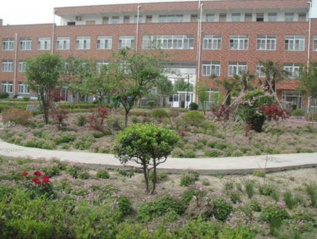 1557560642918087771.png QQ截圖20190511154335.png