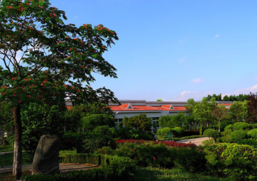 1558949863450087559.png QQ截圖20190527173716.png