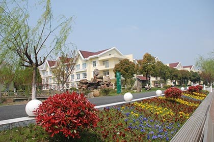 1564538002087006425.jpg 1564538002087006425.jpg