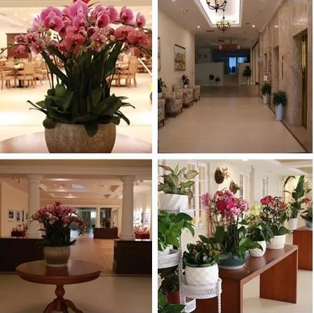 1564797084261029789.jpg 1564797084261029789.jpg