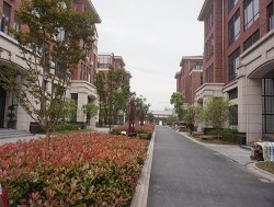 1564800316211044911.jpg 1564800316211044911.jpg