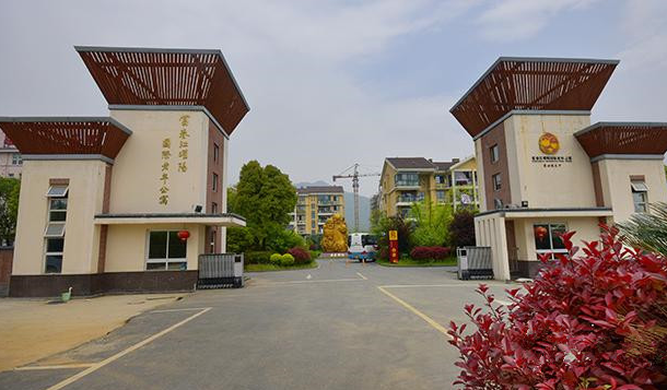 1565160097580096164.png 8.png