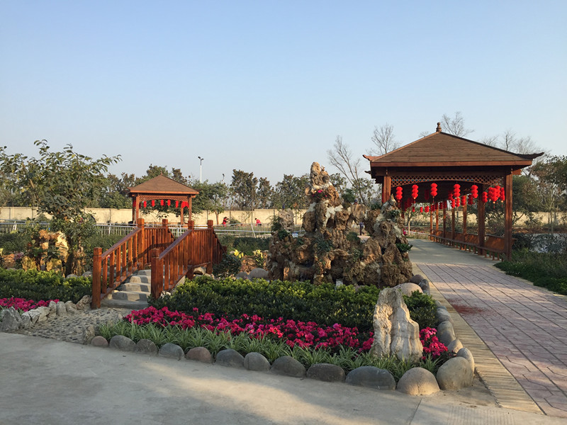 1566380740854049916.jpg 1566380740854049916.jpg