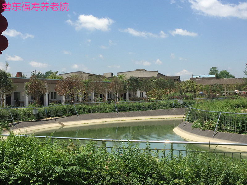 1566380759618018609.jpg 1566380759618018609.jpg