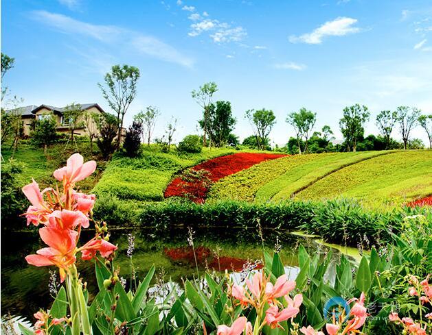 1566977810702055017.jpg 1566977810702055017.jpg