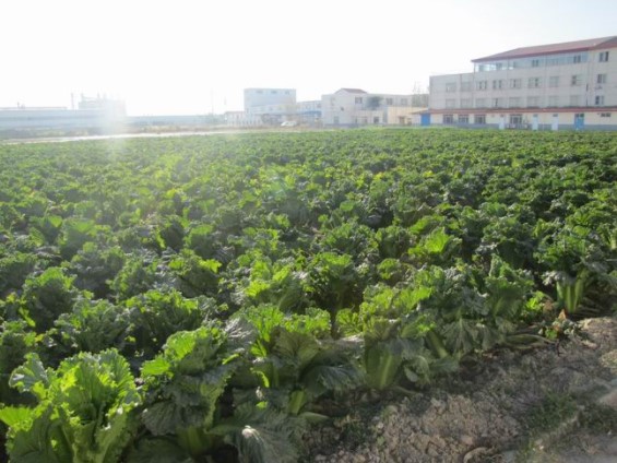 1566982458070045377.jpg 1566982458070045377.jpg