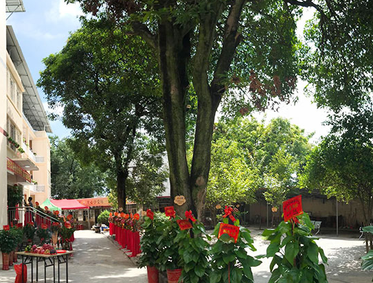 1567068232370081922.png QQ截圖20190829164155.png