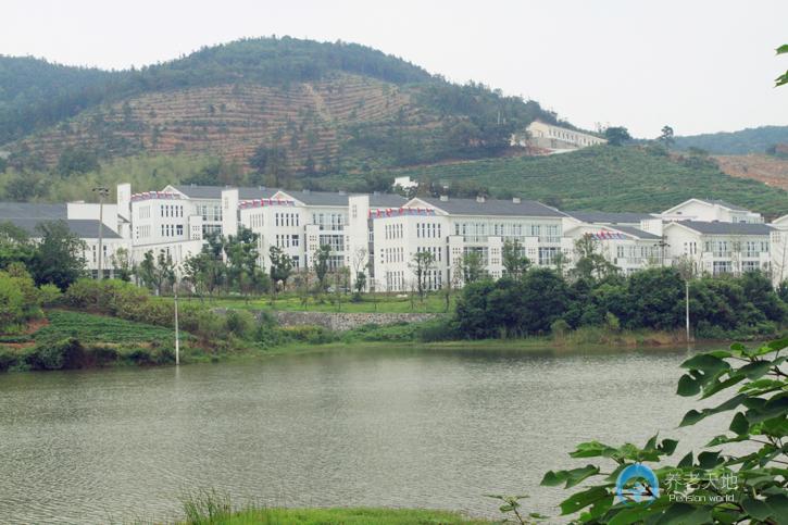 1567070184944086323.jpg 1567070184944086323.jpg