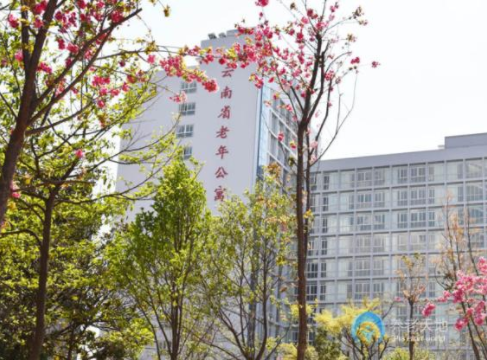 1567155554101020509.png 2.png