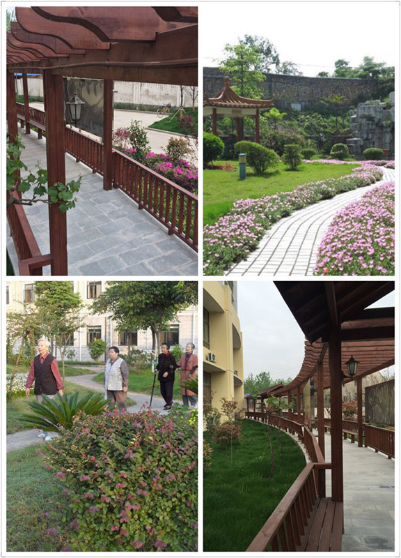 1567496544076072910.jpg 1567496544076072910.jpg