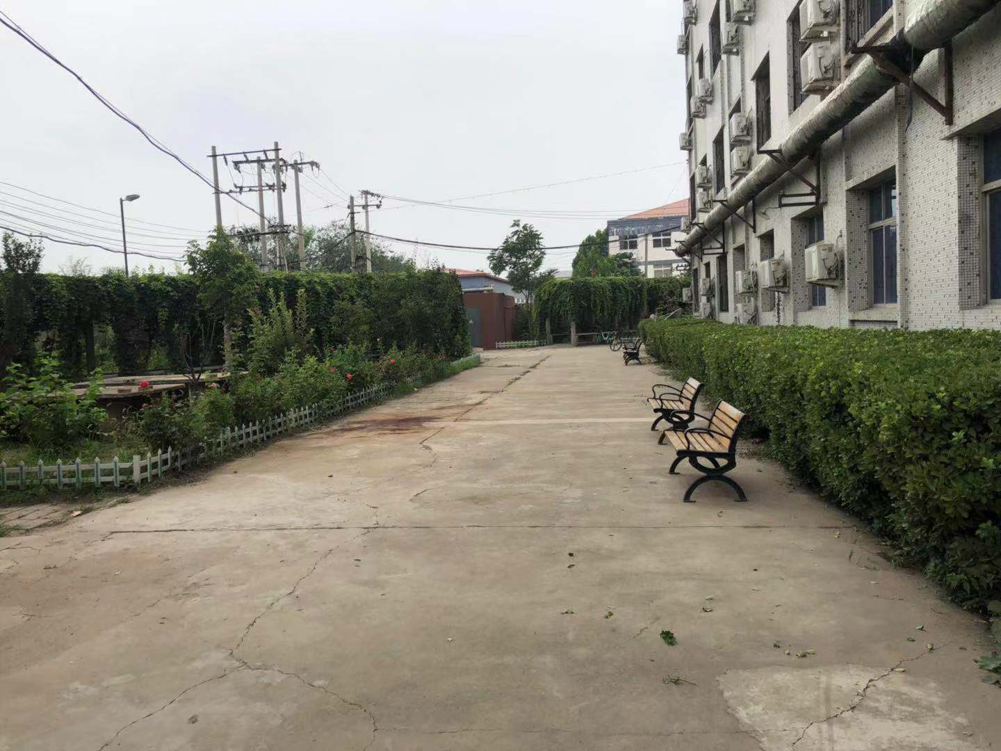 1567503591127065576.jpg 1567503591127065576.jpg