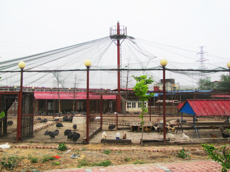 1568778358469022145.jpg 1568778358469022145.jpg