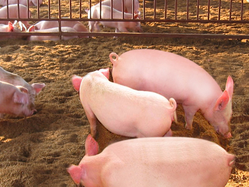 1568779909198042139.jpg 1568779909198042139.jpg