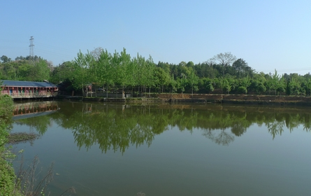 1569202301009018488.png QQ截圖20190923092504.png