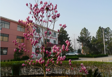 1569202316628070891.png QQ截圖20190923092522.png