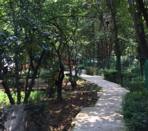 1569234326992080632.png QQ截圖20190923181800.png