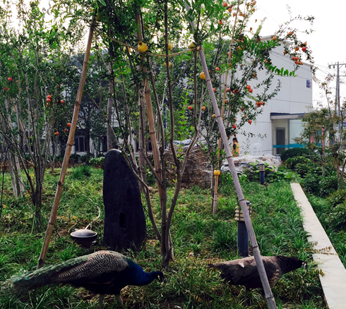 1569467680914015580.png QQ截圖20190926110003.png