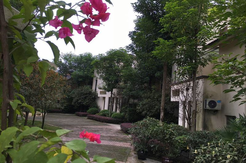 1570845271795012205.jpg 1570845271795012205.jpg