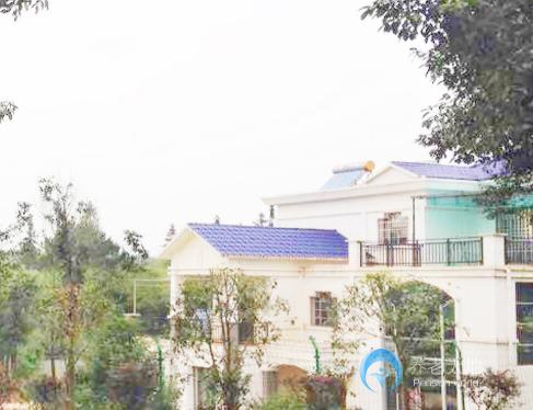 1570873576898067297.jpg 1570873576898067297.jpg