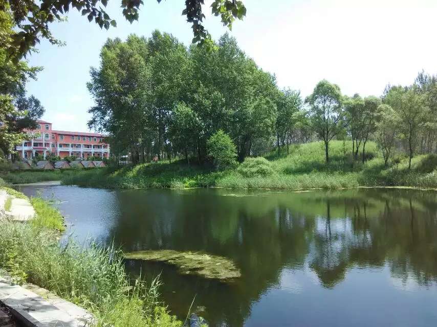 1571036314263057148.jpg 1571036314263057148.jpg