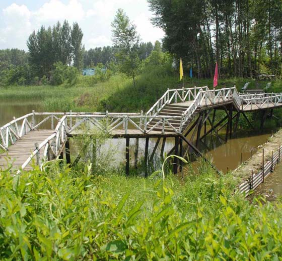 1571036529421066164.jpg 1571036529421066164.jpg