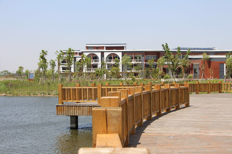 1571127960453050543.jpg 1571127960453050543.jpg