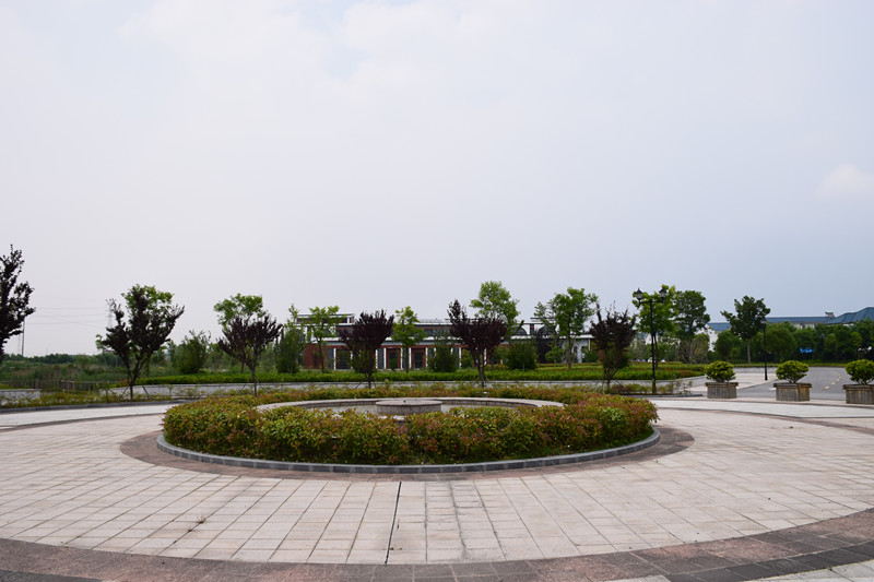 1571127981305094944.jpg 1571127981305094944.jpg