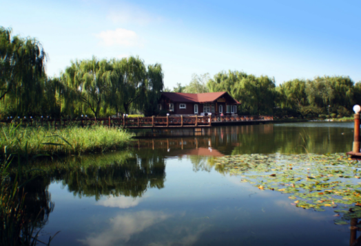 1571277082395061290.png 3.png