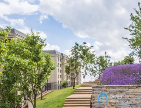 1571627710920002843.png 1.png