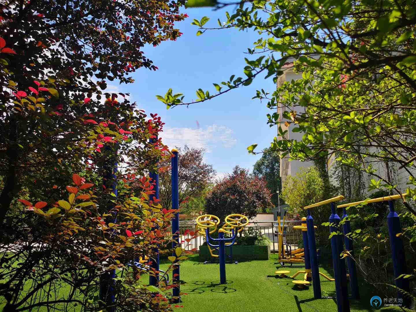 1571798089419076698.jpg 1571798089419076698.jpg