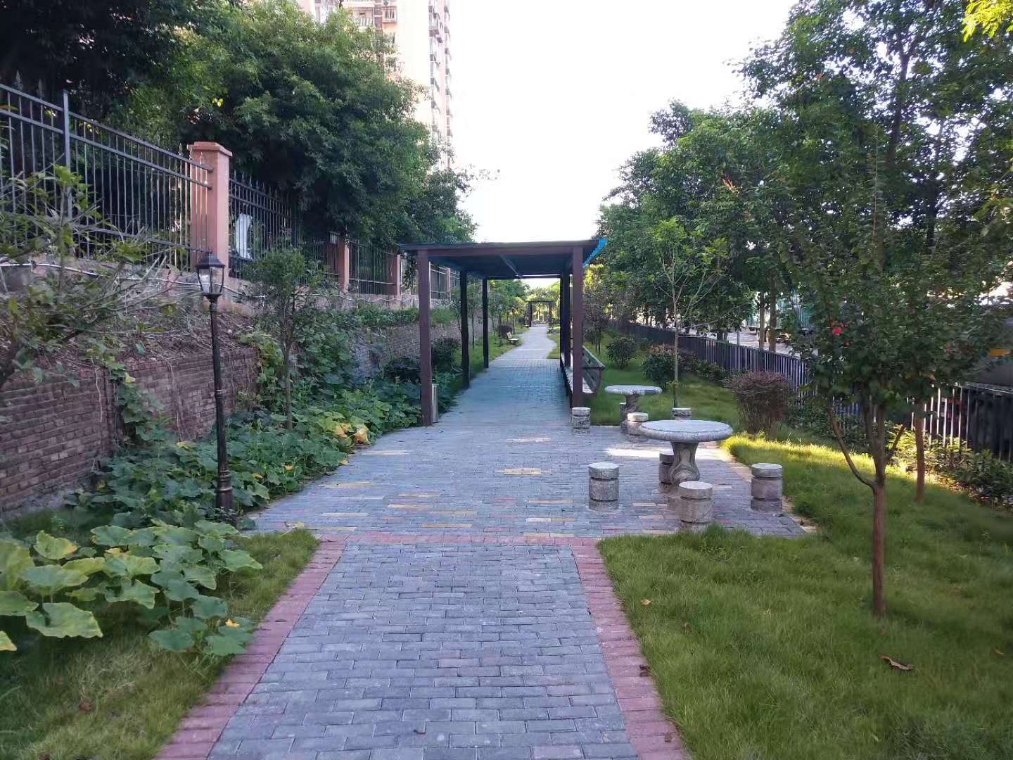 1571971877111085546.jpg 1571971877111085546.jpg