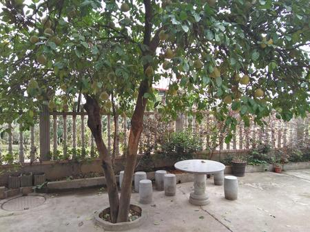 1572057257899049138.jpg 1572057257899049138.jpg