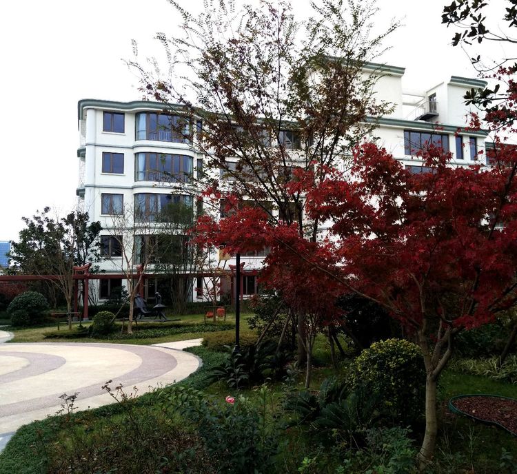 1572334862731038287.jpg 1572334862731038287.jpg