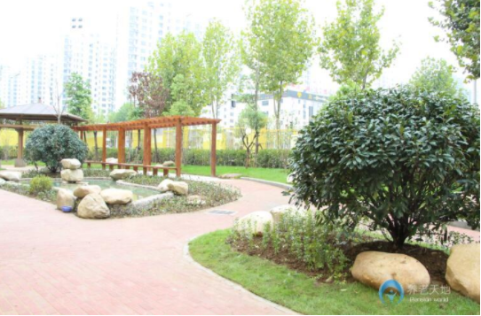 1572397040860005437.png 1.png