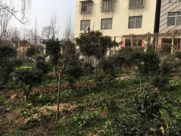 1572416468036021243.jpg 1572416468036021243.jpg