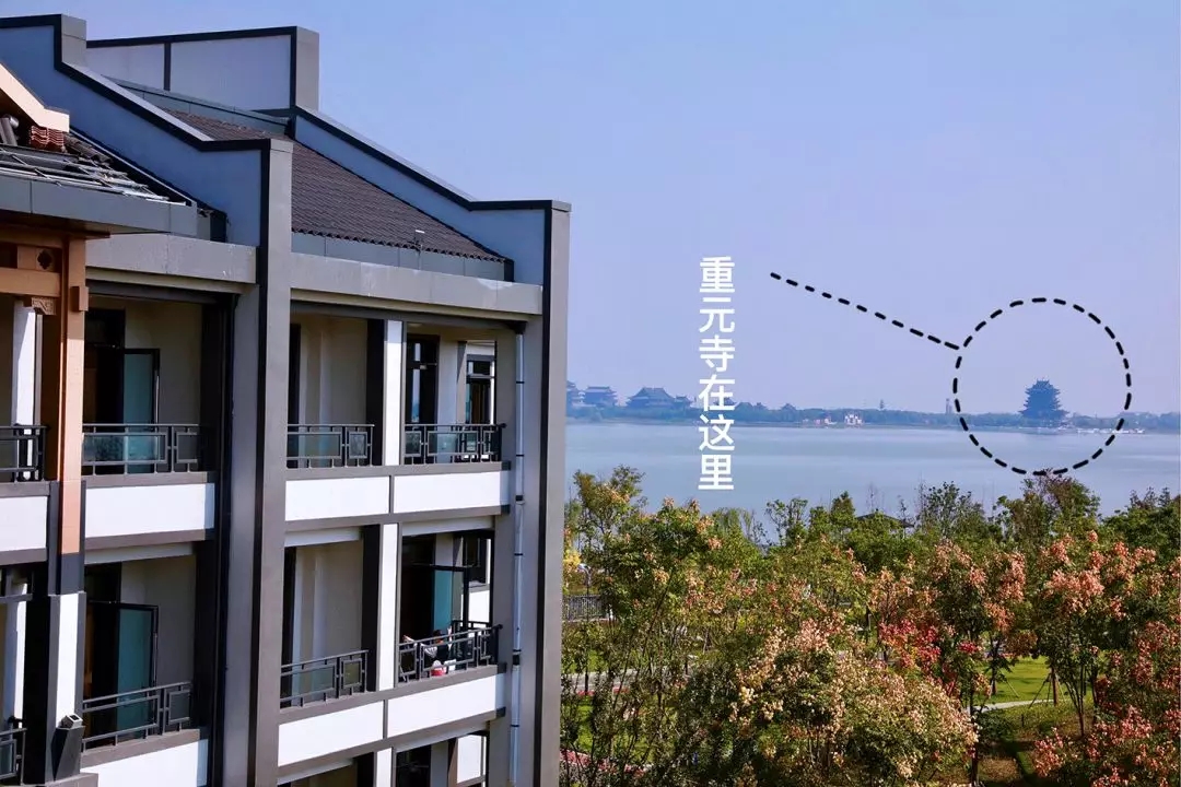 1572490624814017104.jpg 1572490624814017104.jpg