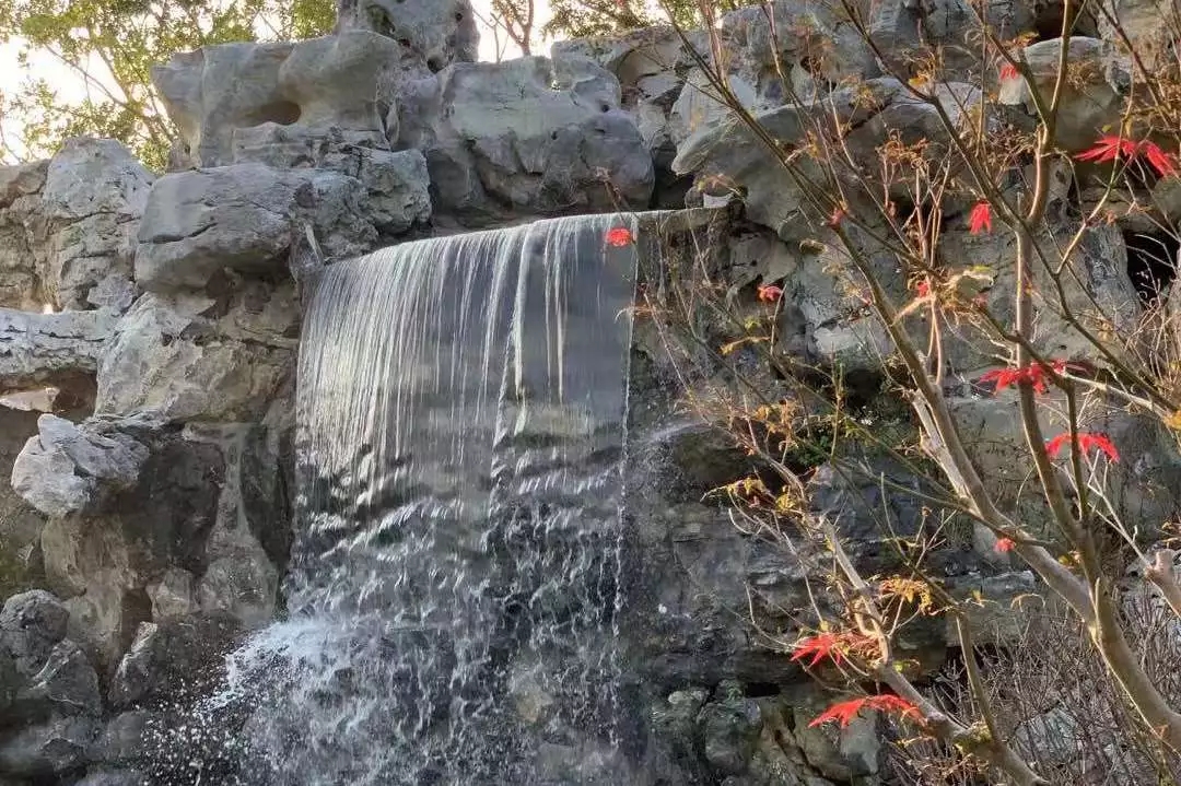 1572490776089076024.jpg 1572490776089076024.jpg