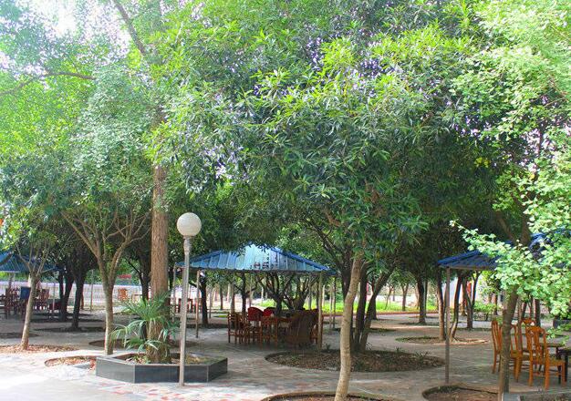 1572594412544040727.jpg 1572594412544040727.jpg