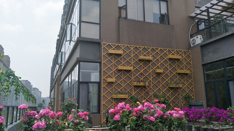 1572857253638096331.jpg 1572857253638096331.jpg