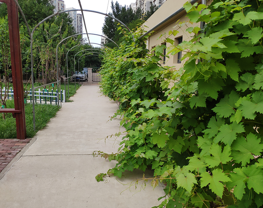 1572948409051061991.jpg 1572948409051061991.jpg