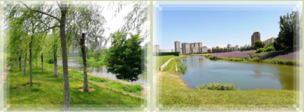 1573090902417043797.jpg 1573090902417043797.jpg