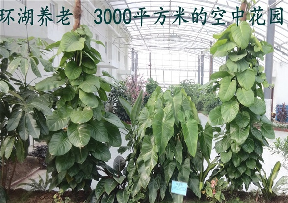 1573356235003082917.png QQ截圖20191110111700.png