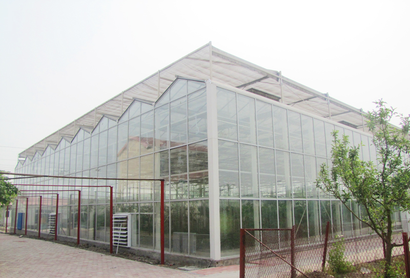 1573457689570060754.jpg 1573457689570060754.jpg