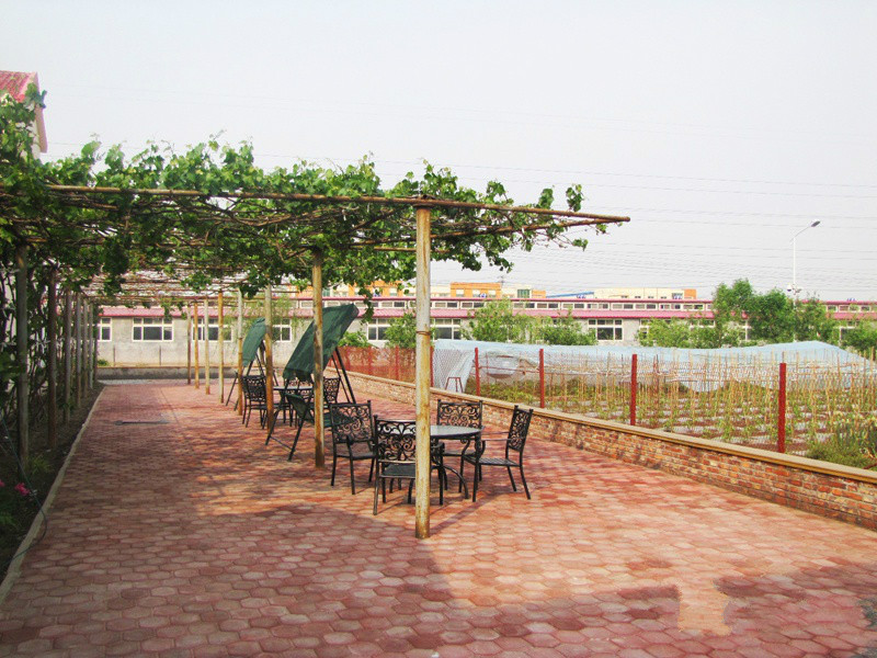 1573457773003038171.jpg 1573457773003038171.jpg