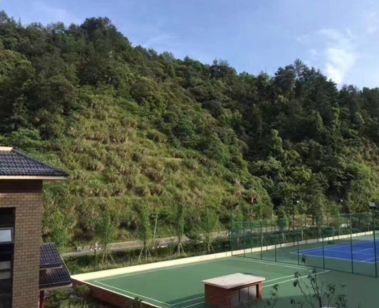 1573542629762047153.png QQ截圖20191112150343.png