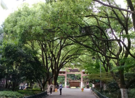 1573543338323026753.png QQ截圖20191112151615.png